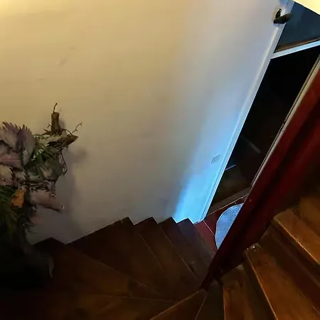 Tysebyavidel Szarajevó